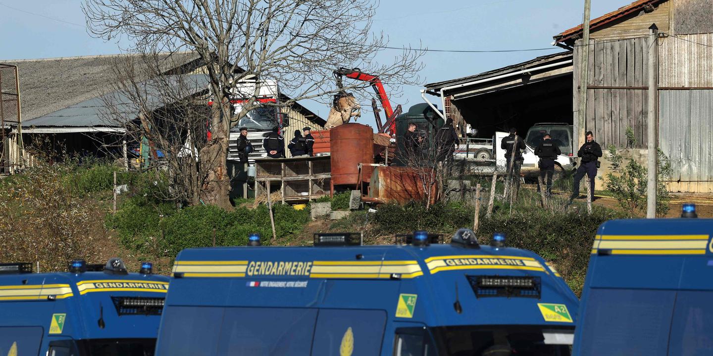 Dermatose nodulaire contagieuse : le gouvernement sous la pression des éleveurs en colère