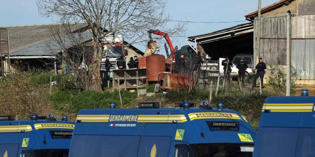 French veterinarians cull cows after police use tear gas to disperse protesters