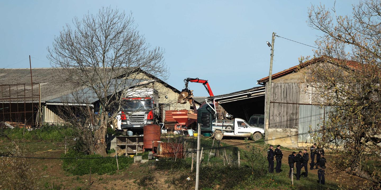 les premières vaches abattues dans une ferme de l’Ariège ; « la seule solution », pour Annie Genevard les premières vaches abattues dans une ferme de l’Ariège ; « la seule solution », pour Annie Genevard