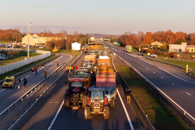 Les agriculteurs bloquent l’A64 à Carbonne (Haute-Garonne) en réaction à la politique sanitaire du gouvernement face à la dermatose nodulaire, le 13 décembre 2025.