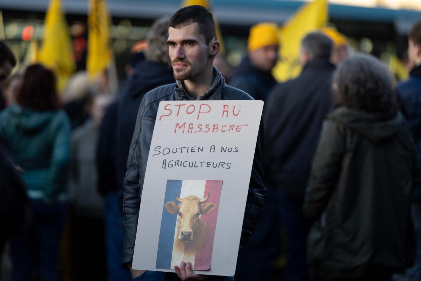 Dermatose nodulaire : « On n’a pas peur de la maladie, on a peur des abattages de bêtes », s’inquiètent les éleveurs en mobilisation Dermatose nodulaire : « On n’a pas peur de la maladie, on a peur des abattages de bêtes », s’inquiètent les éleveurs en mobilisation