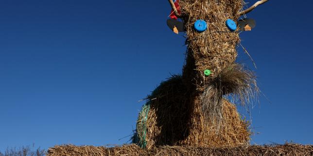 French farmers block roads to protest cow disease cull