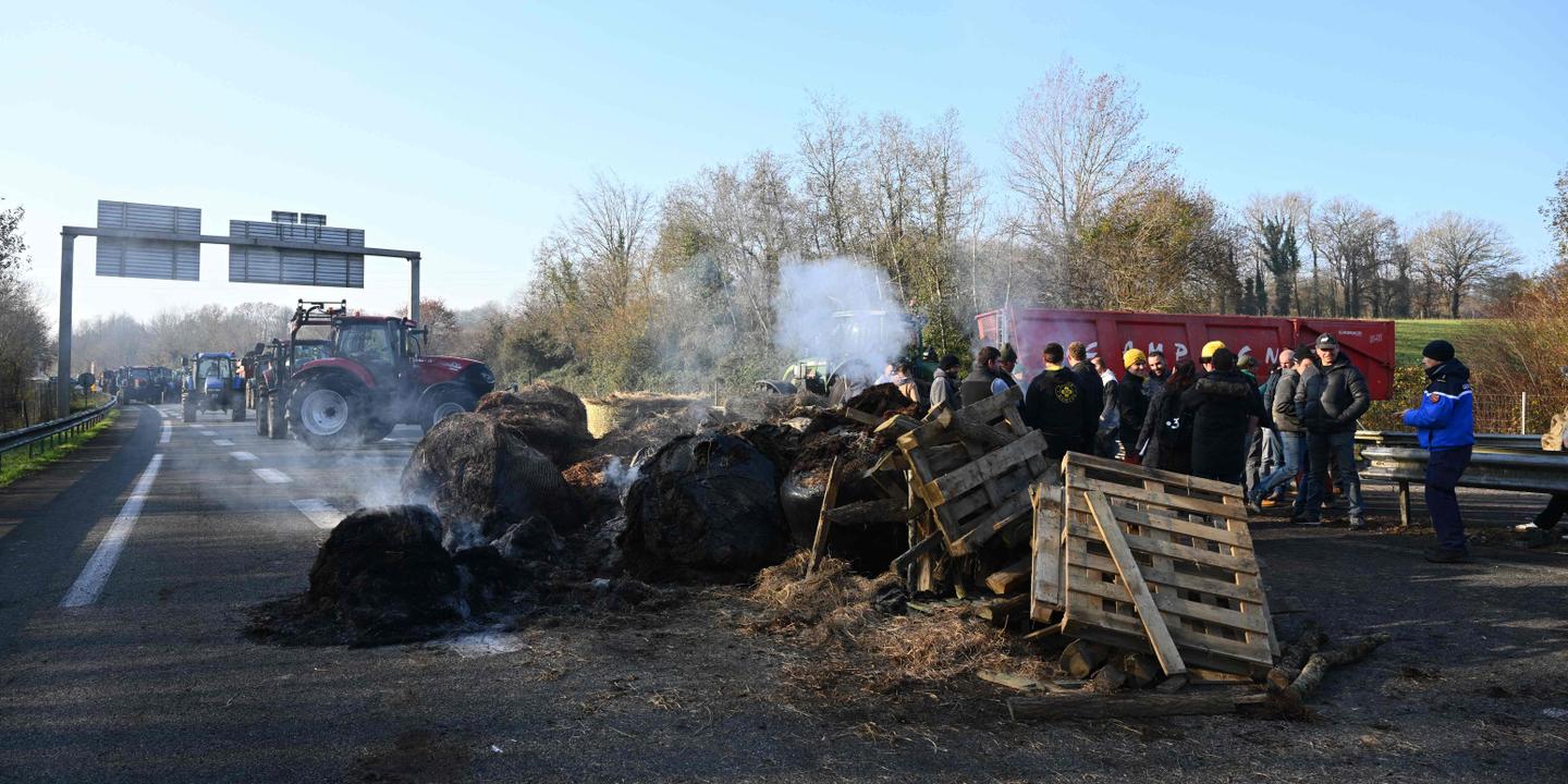 EN DIRECT, dermatose nodulaire : le point sur la mobilisation des agriculteurs dans le Sud-Ouest EN DIRECT, dermatose nodulaire : le point sur la mobilisation des agriculteurs dans le Sud-Ouest