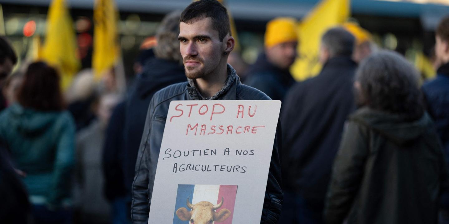 Dermatose nodulaire : « On n’a pas peur de la maladie, on a peur des abattages de bêtes », s’inquiètent les éleveurs en mobilisation