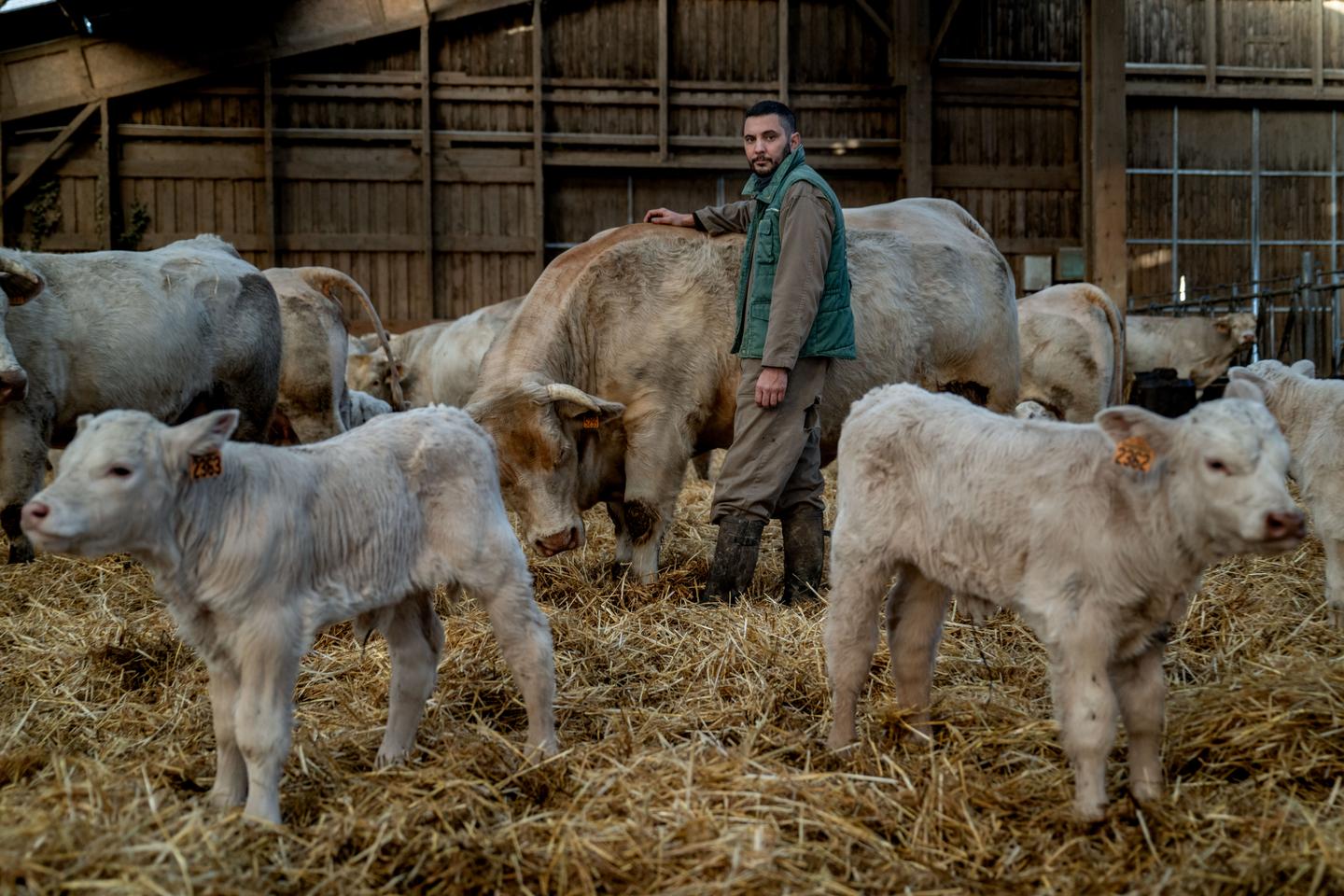 Dermatose nodulaire : dans l’Ain, « l’angoisse permanente » d’un éleveur face au blocage d’exportation Dermatose nodulaire : dans l’Ain, « l’angoisse permanente » d’un éleveur face au blocage d’exportation