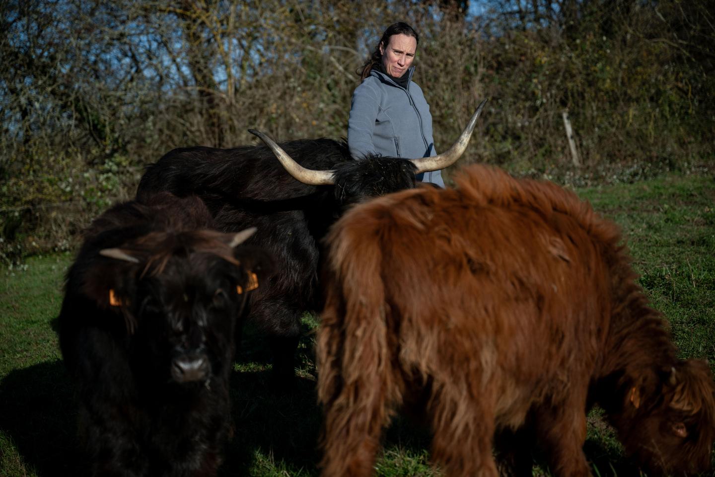 Dans l’Ain, une éleveuse assume d’avoir enfreint les règles de lutte contre la dermatose nodulaire : « Le vivant ne s’adapte pas aux arrêtés préfectoraux » Dans l’Ain, une éleveuse assume d’avoir enfreint les règles de lutte contre la dermatose nodulaire : « Le vivant ne s’adapte pas aux arrêtés préfectoraux »