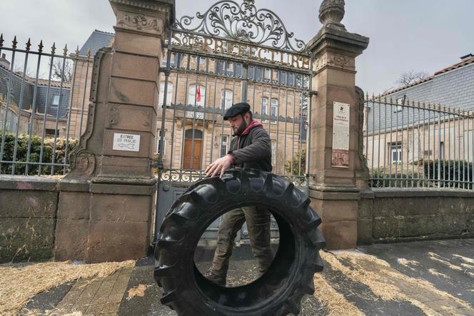 Manifestation d’agriculteurs contre la politique d’abattage des vaches atteintes de dermatose nodulaire contagieuse, à Millau (Aveyron), le 14 décembre 2025.