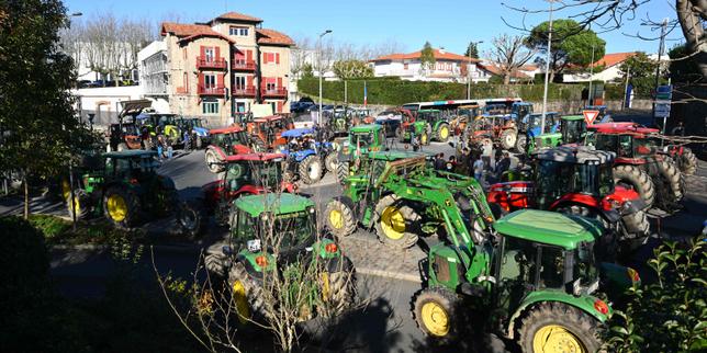 French farmers spray manure and continue road blocks over cow disease cull
