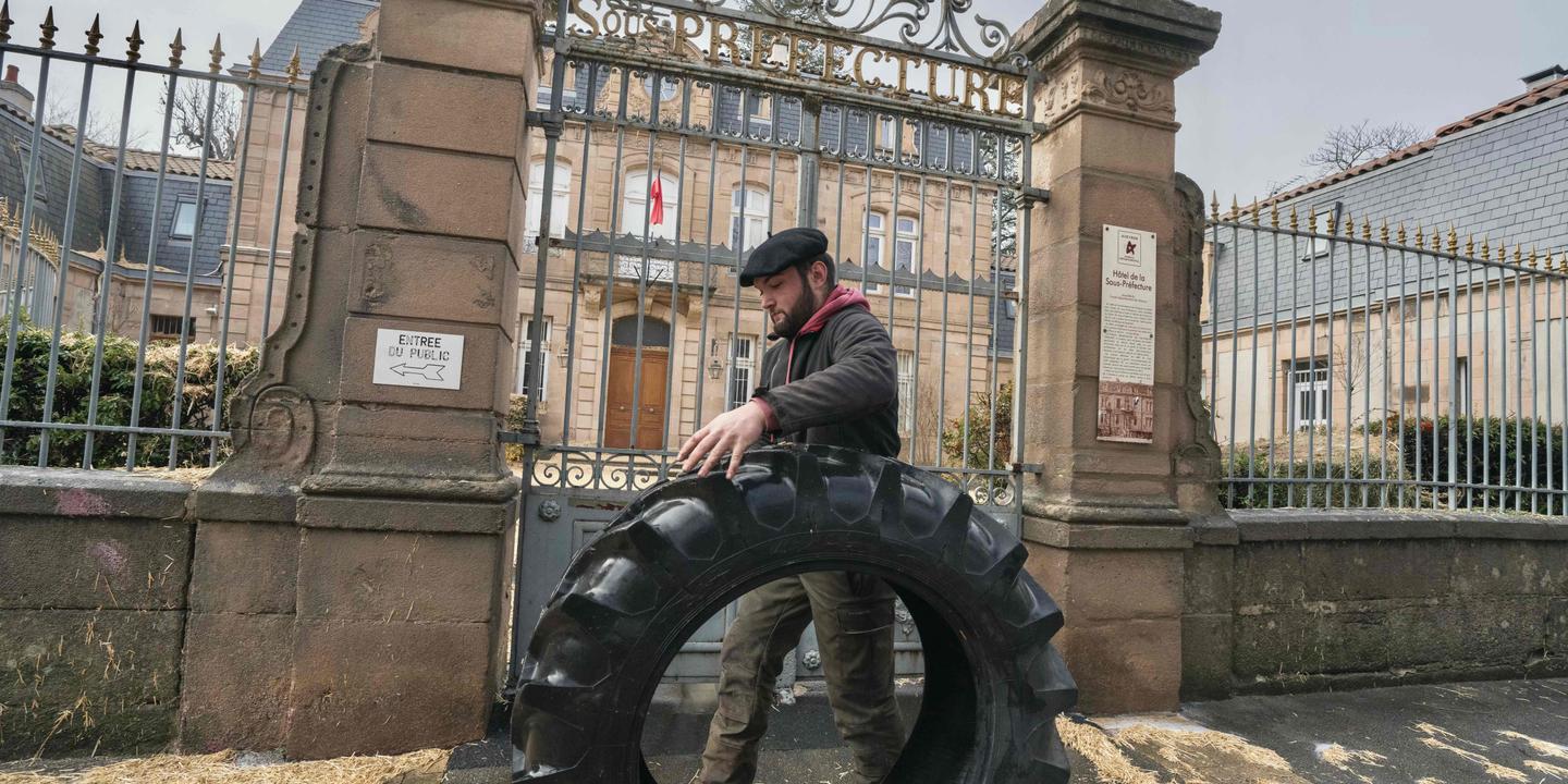 Face à la dermatose nodulaire contagieuse, la mobilisation se poursuit dans le Sud-Ouest, à la veille d’une visite d’Annie Genevard
