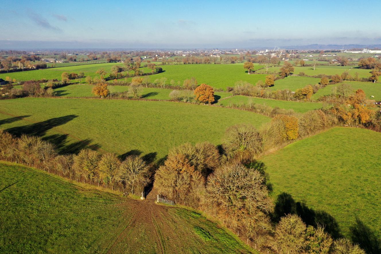 Le « guichet unique » des haies promis aux agriculteurs risque-t-il d’encourager leur destruction ?