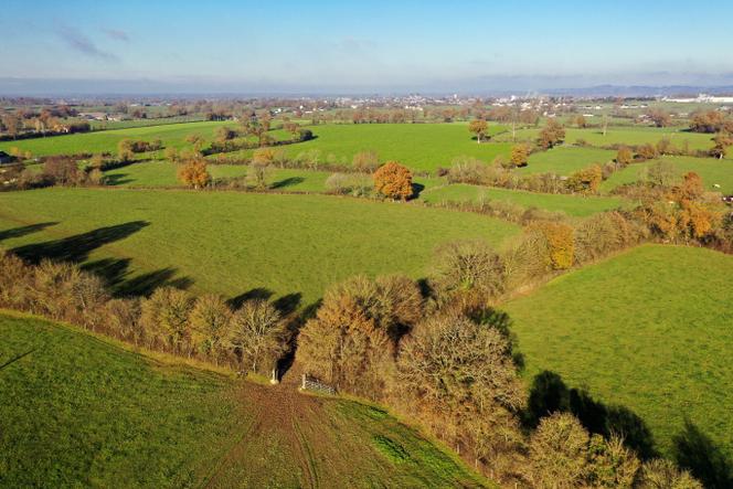 Haies dans la campagne près d’Evron, en Mayenne,  le 8 décembre 2020.