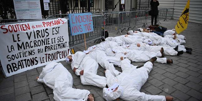 French farmers vow to continue 'stop the slaughter' protests