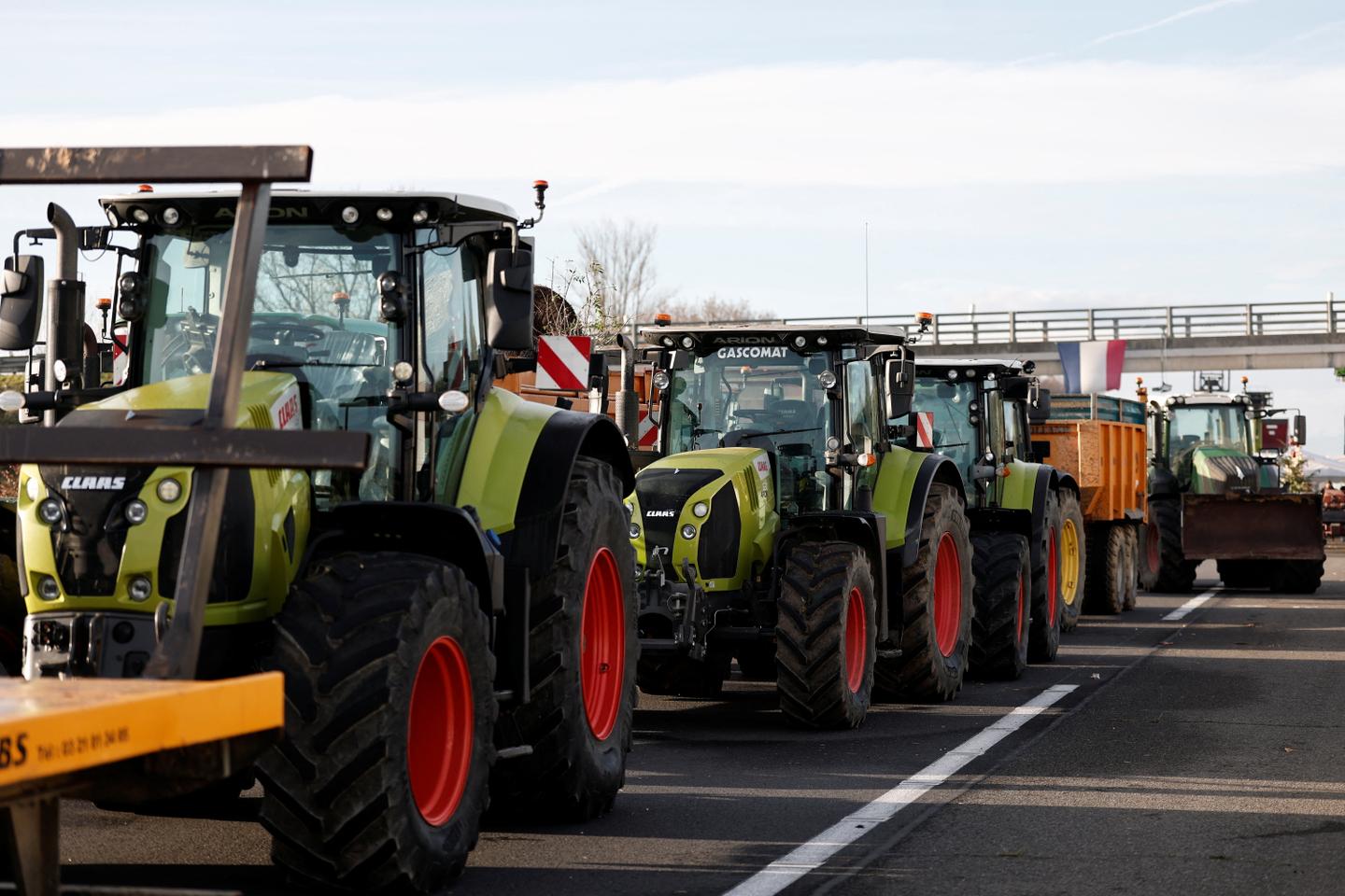 Dermatose nodulaire contagieuse : les agriculteurs toujours fortement mobilisés
