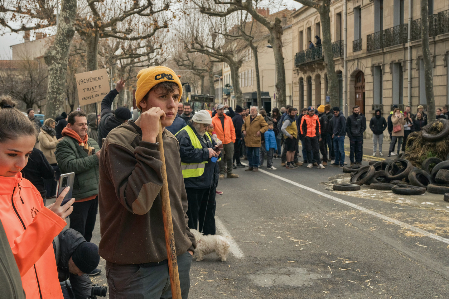 Dermatose nodulaire contagieuse : « Qu’est-ce qu’une vache pour ces gestionnaires ? Rien ! » Dermatose nodulaire contagieuse : « Qu’est-ce qu’une vache pour ces gestionnaires ? Rien ! »