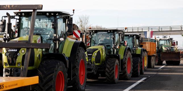 Dermatose nodulaire contagieuse : les agriculteurs toujours fortement mobilisés
