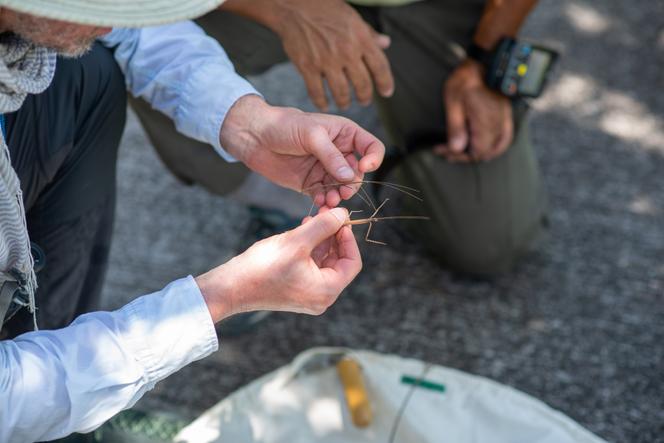 Mission de repérage terrestre des scientifiques de l’Agence régionale de la biodiversité des îles de Guadeloupe en 2023.