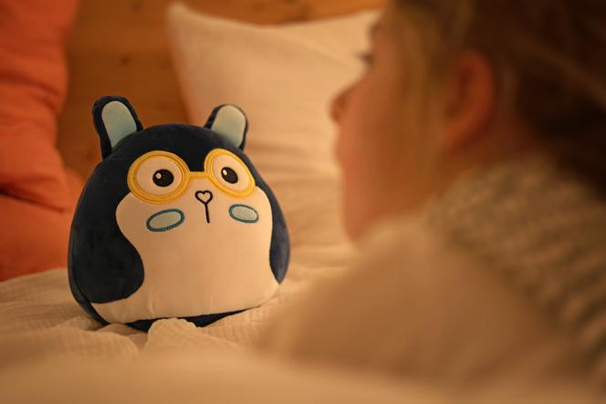 Ary est vendu 100 euros. Un abonnement sera proposé courant 2026 pour enrichir les capacités de son IA, mais les fonctions actuelles resteront gratuites, assure son créateur.