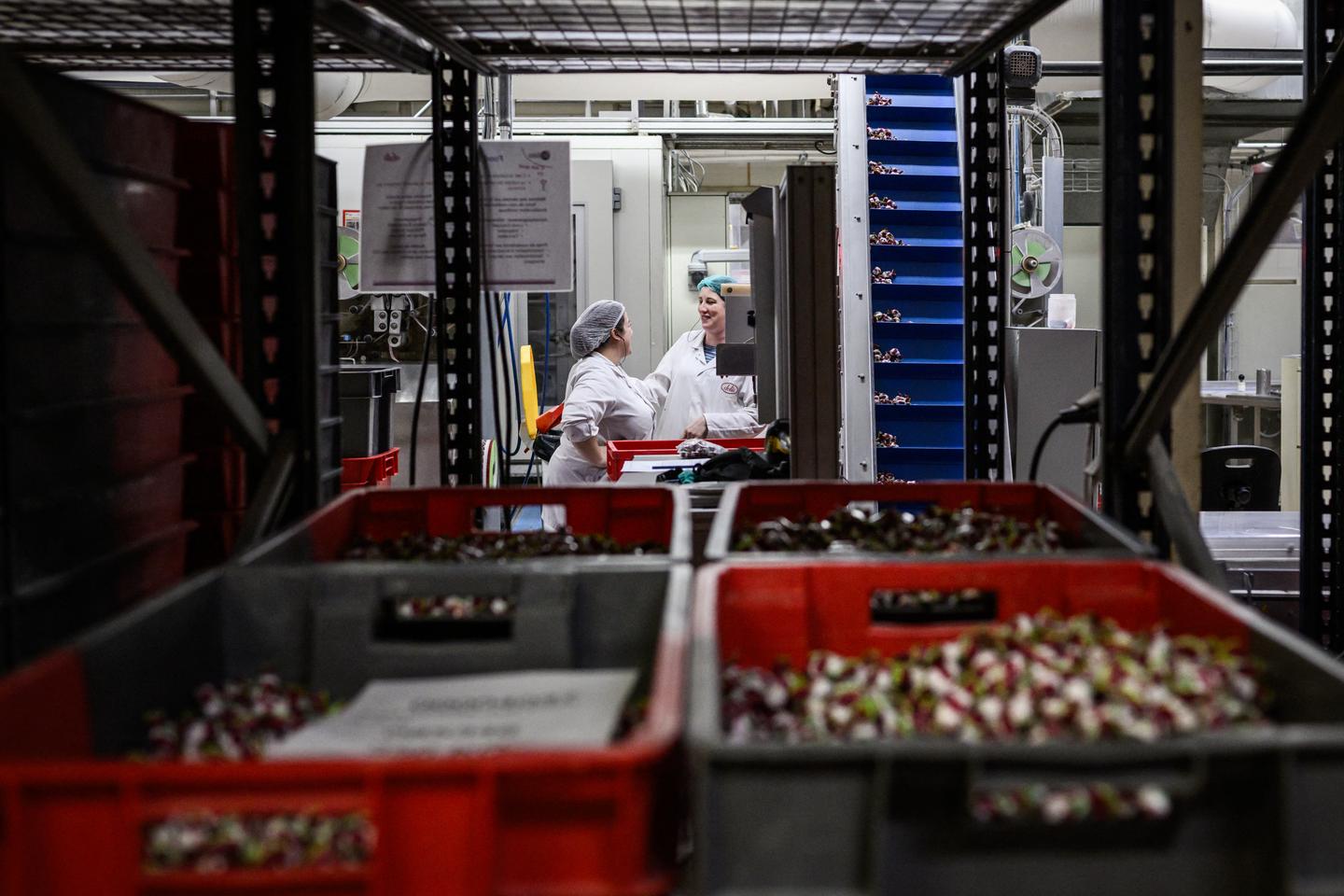 Le « train de la reprise » se profile pour l’économie française Le « train de la reprise » se profile pour l’économie française