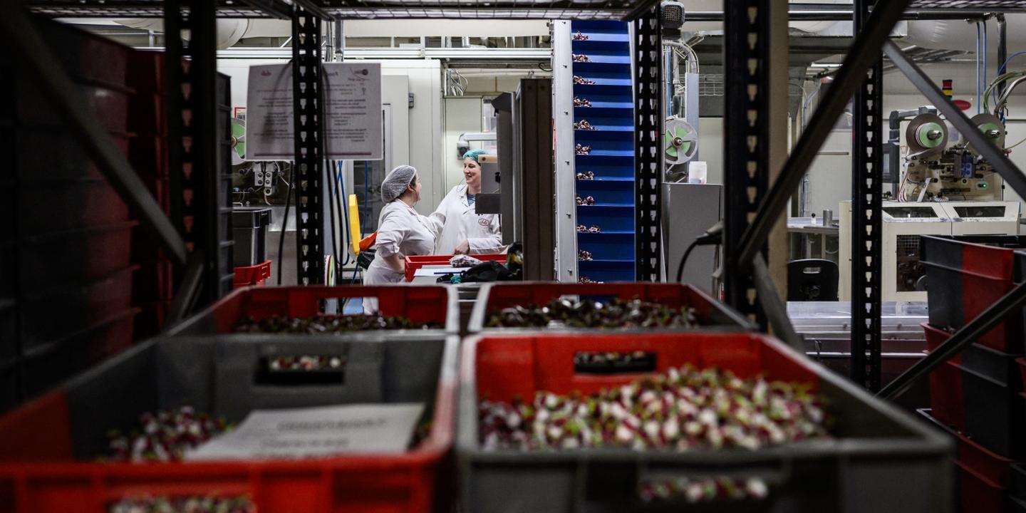 Le « train de la reprise » se profile pour l’économie française