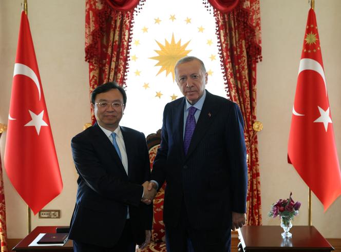 Le président turc, Recep Tayyip Erdogan, serrant la main de Wang Chuanfu (à gauche), président-directeur général de BYD, à Istanbul, le 8&nbsp;juillet&nbsp;2024.