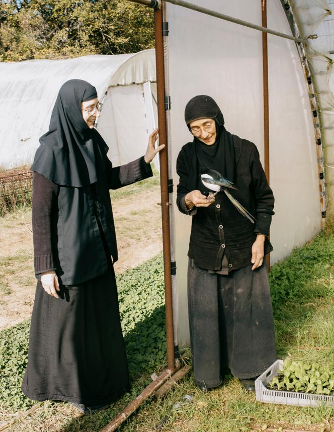 Des sœurs orthodoxes du monastère de Solan et la pie Pirouette, qui s’est laissé apprivoiser.
