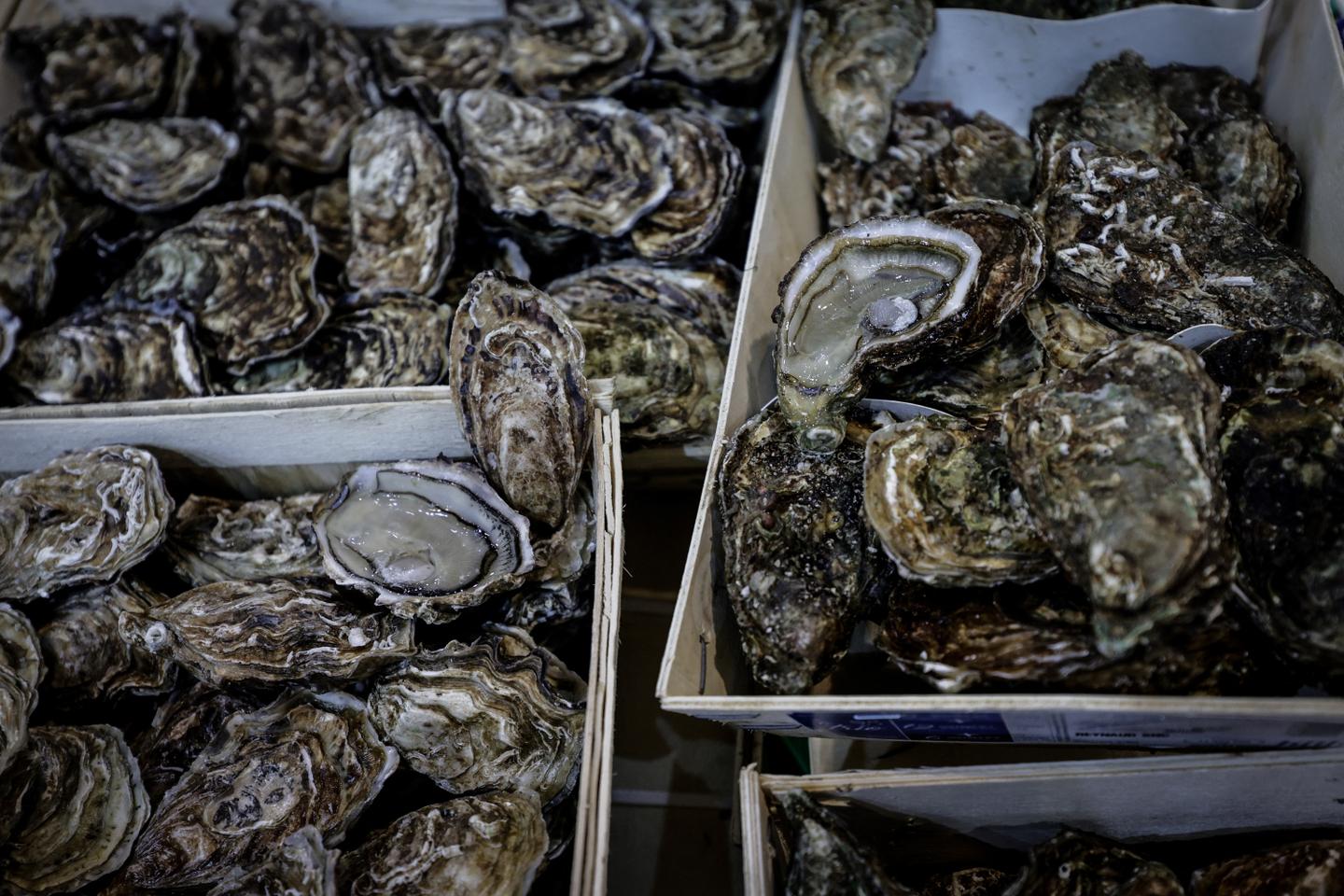 Le réchauffement climatique menace la production de moules et d’huîtres en Méditerranée dès 2050 Le réchauffement climatique menace la production de moules et d’huîtres en Méditerranée dès 2050