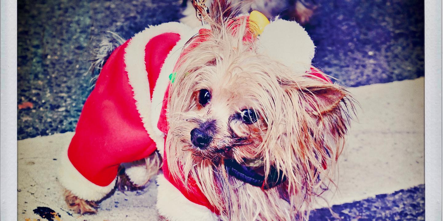 Mais où sont passés les enfants new-yorkais ?