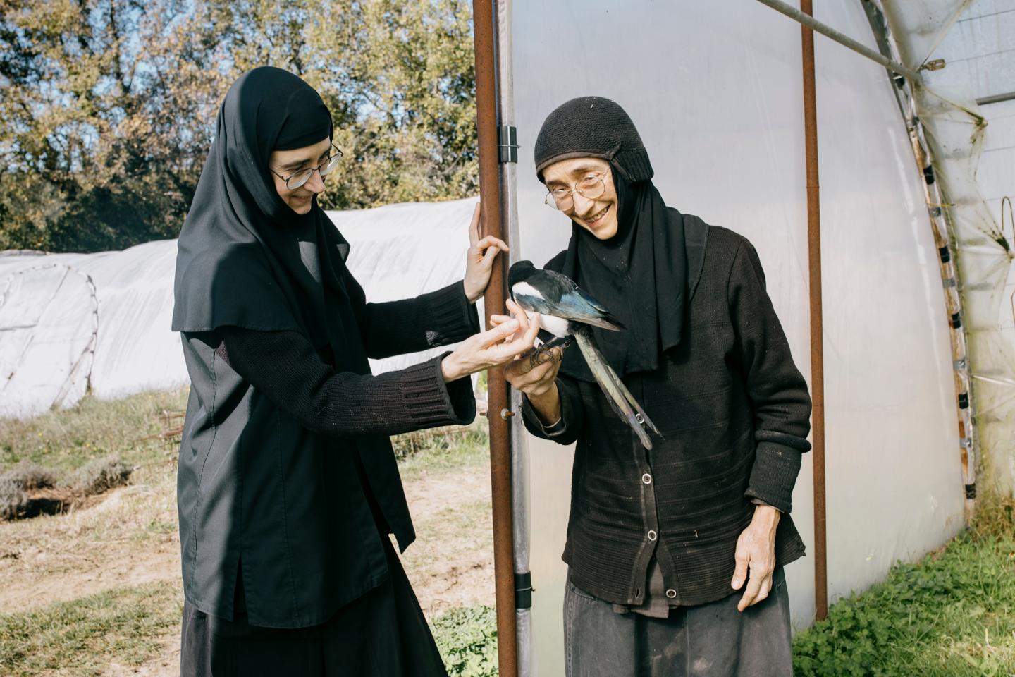 Dans le Gard, un hameau solidaire dans l’âme : « Ce type d’habitat serait une vraie alternative pour éviter de finir en Ehpad »