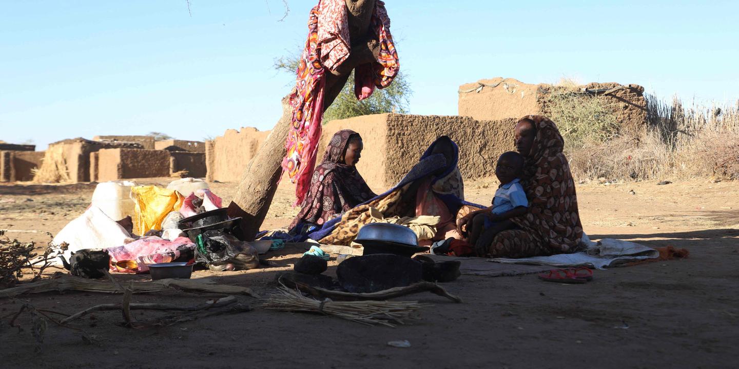 Soudan: «au moins 60 000 disparus, morts ou en fuite» après la prise d’El-Fasher, fin octobre @ClementBoursin