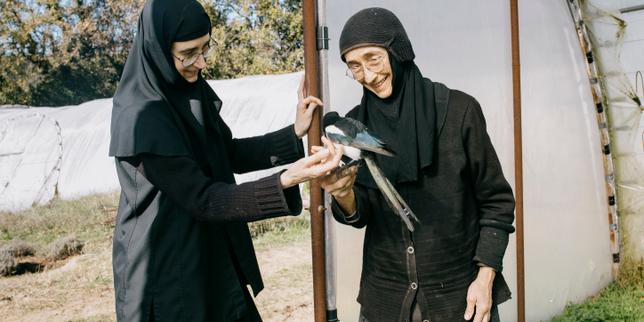 Dans le Gard, un hameau solidaire dans l’âme : « Ce type d’habitat serait une vraie alternative pour éviter de finir en Ehpad »