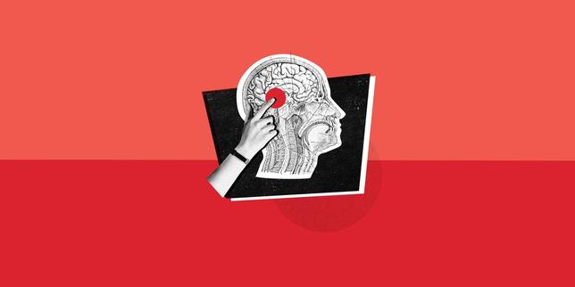 Quiz de culture générale : Le français est une langue facétieuse