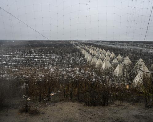 Des dents de dragon derrière un filet antidrones, sur une route située près d’Izioum, en Ukraine, le 10 décembre 2025.