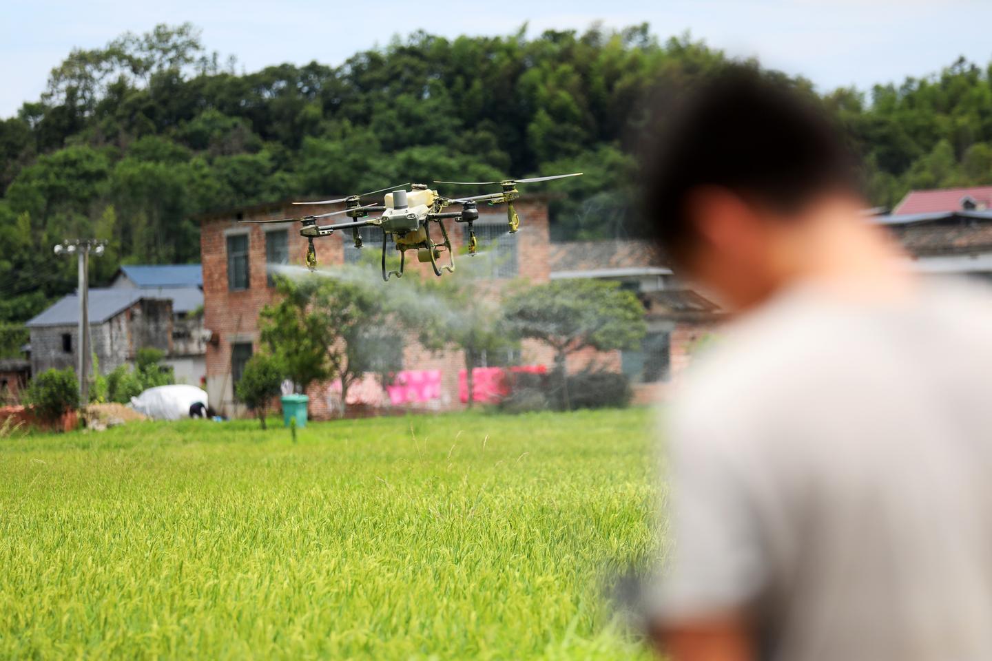 En Chine, l’épandage de pesticides par drone provoque des conflits