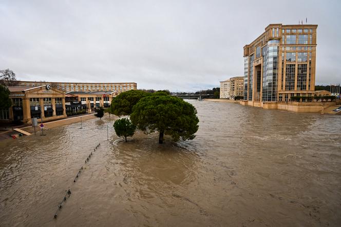 Les quais du Lez, en crue, à Montpellier (Hérault) le 22 décembre 2025.