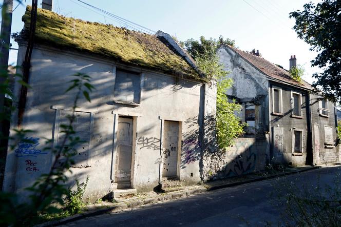 Des maisons abandonnées au Vieux-Pays de Goussainville (Val-d’Oise), en 2013.