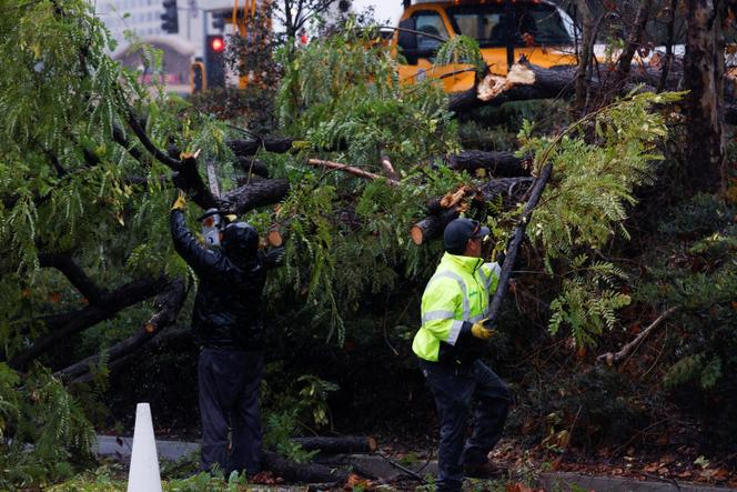 Des ouvriers coupent et déplacent un sapin de Noël tombé sur le centre commercial Westfield Topanga, à Los Angeles, le 24 décembre 2025. 