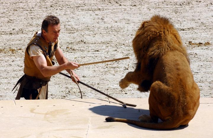 Thierry Le Portier, dresseur de fauves, avec un lion dans l'arène du cirque gallo-romain du parc du Puy-du-Fou, aux Epesses (Vendée), le 14 juin 2005.