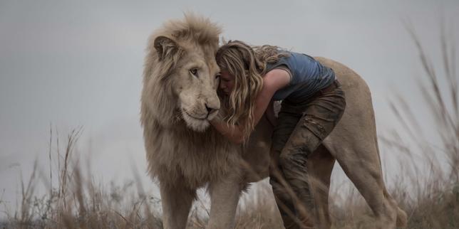 Au cinéma, la difficile lutte pour la cause animale : « Nous devrions pouvoir nous divertir sans enfreindre les droits fondamentaux des animaux »