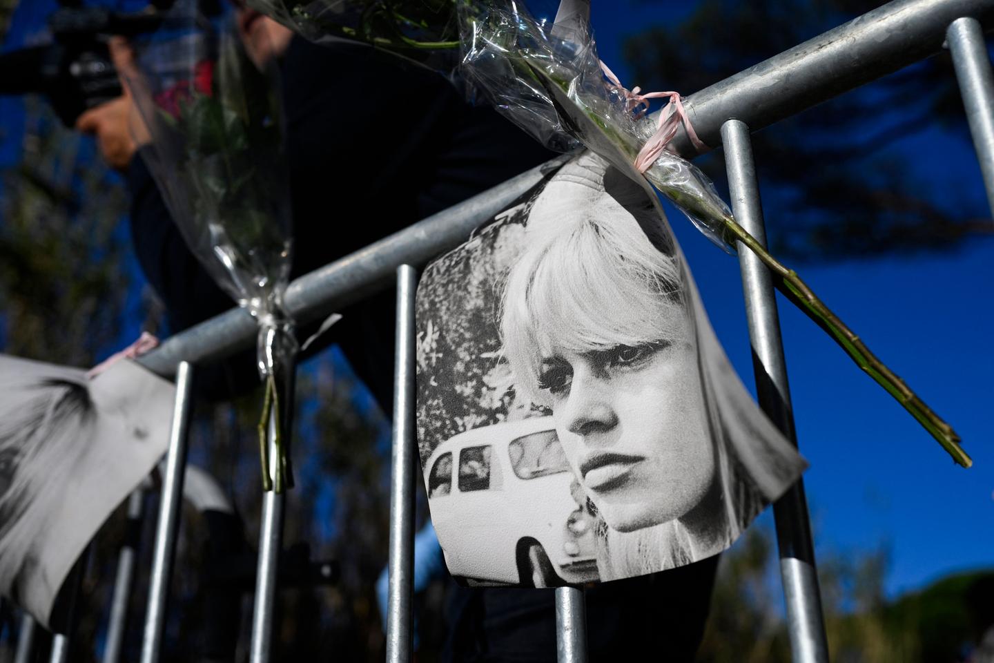 Faut-il organiser un hommage national à Brigitte Bardot ? Une question devenue politique