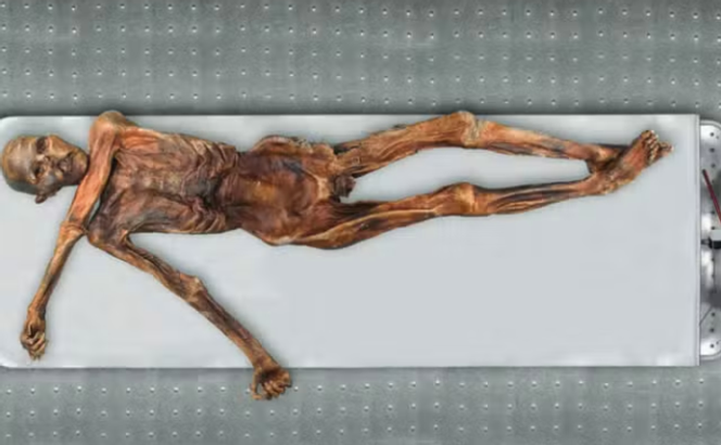 La momie de l’homme des glaces au musée archéologique de Bolzano.