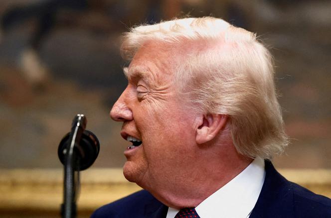 Le président Donald Trump dans la salle Roosevelt de la Maison Blanche à Washington, DC, Etats-Unis, le 19&nbsp;décembre 2025. 