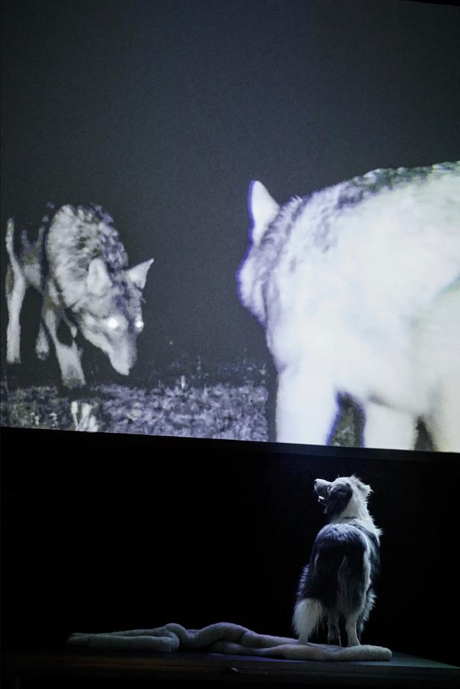 « In bocca al lupo », de Judith Zagury, lors d’une représentation au Théâtre Vidy-Lausanne (Suisse), en octobre 2025. 
