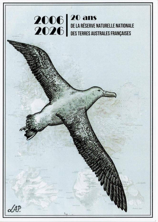 Carte de voeux 2026&nbsp;des TAAF. «&nbsp;Le grand albatros&nbsp;» («&nbsp;Diomedea exulans&nbsp;»), par Laure-Anne Peyrat.