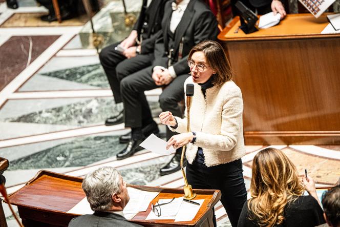 The Minister of Action and Public Accounts, Amélie de Montchalin, during the government questions session, at the National Assembly, in Paris, January 7, 2026.