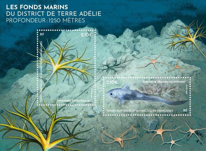 «&nbsp;Les fonds marins du district de Terre Adélie. Profondeur&nbsp;: 1&nbsp;250&nbsp;mètres&nbsp;», bloc-feuillet vendu 4,20&nbsp;euros.
