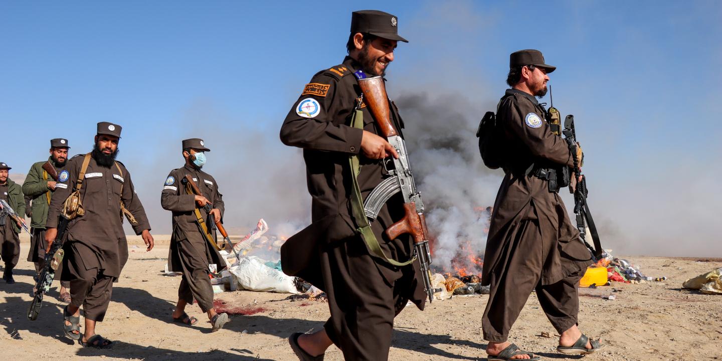 Afghanistan : l’interdiction de la culture du pavot paupérise une partie de la population