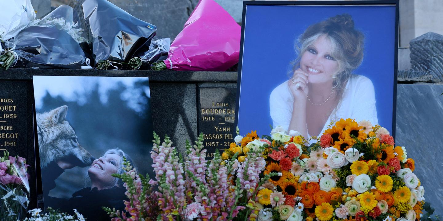 Les derniers vœux de Brigitte Bardot à sa fondation : « Le combat continuera, avec ou sans moi »