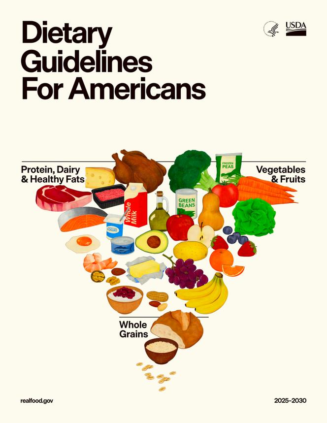 La pyramide alimentaire inversée issue des nouvelles recommandations alimentaires publiées par les départements d’Etat américains à la santé et à l’agriculture.