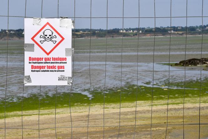 La plage du Valais, à Saint-Brieuc, fermée en raison de la présence d’algues vertes toxiques, le 10 juillet 2019.