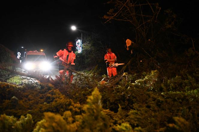 Des employés municipaux nettoient la route après le passage de la tempête Goretti, à Banville (Calvados), le 9&nbsp;janvier&nbsp;2026.